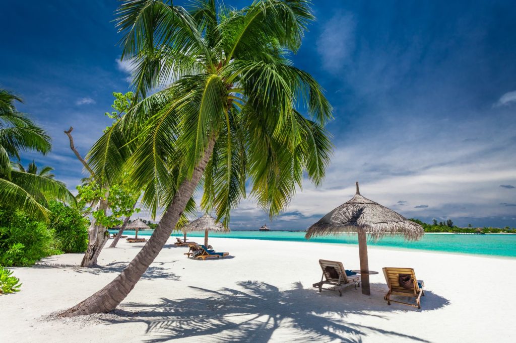 Enkele reis goedkoop boeken naar een tropisch strand met witte zandkust, palmbomen en ligbedden onder rieten parasols.
