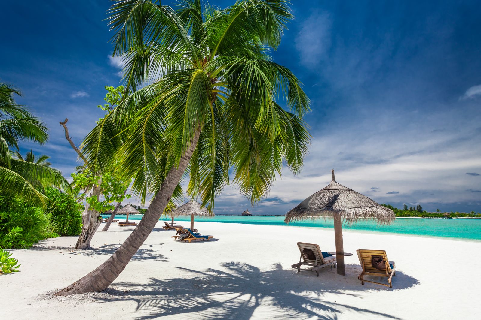 Enkele reis goedkoop boeken naar een tropisch strand met witte zandkust, palmbomen en ligbedden onder rieten parasols.